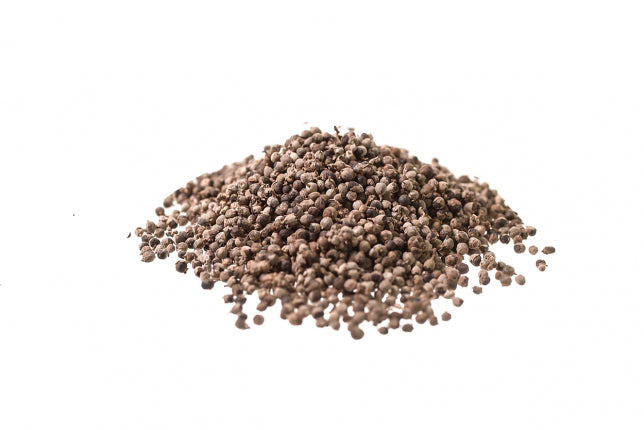 Agnocasto, frutti (Vitex agnus castus -L.- Kurz)