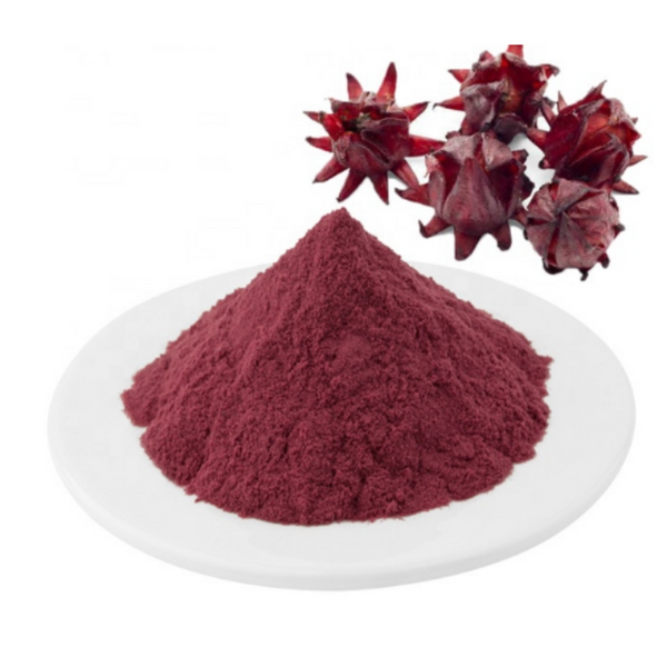 Alcanna, polvere (Alkanna tinctoria -L.- Taush)