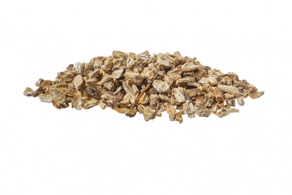 Angelica, radice (Angelica archangelica L.)