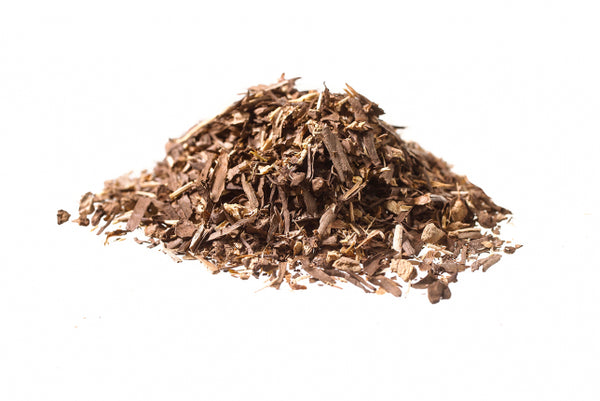 Asparago, radice (Asparagus officinalis L.)