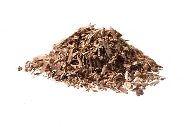 Asparago, radice (Asparagus officinalis L.)