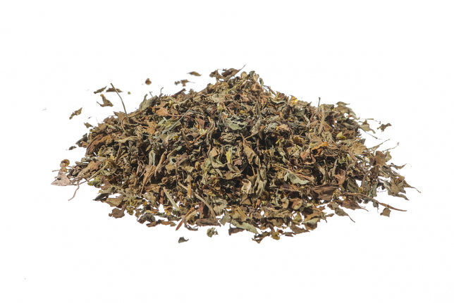 Basilico, foglie (Ocimum basilicum L.)