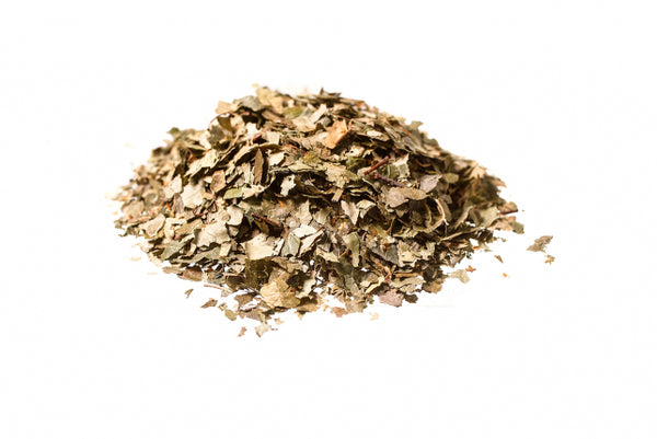 Betulla, foglie (Betula pendula Roth - Betula alba L.)