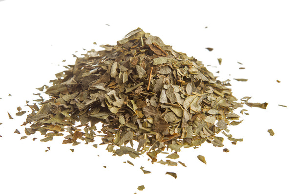 Boldo, foglie (Peumus boldus Molina)