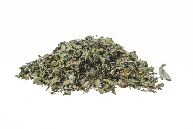 Carciofo, foglie (Cynara scolymus L.)