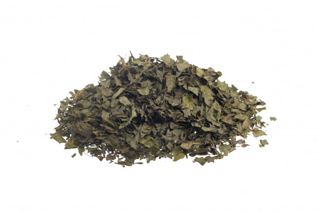 Cardo Mariano, sommità (Silybum marianum -L.- Gaernt.)