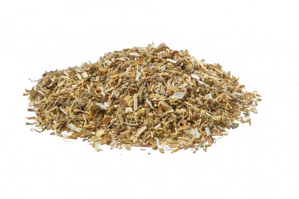 Cardo santo - Cardo benedetto, sommità (Cnicus benedictus L.)