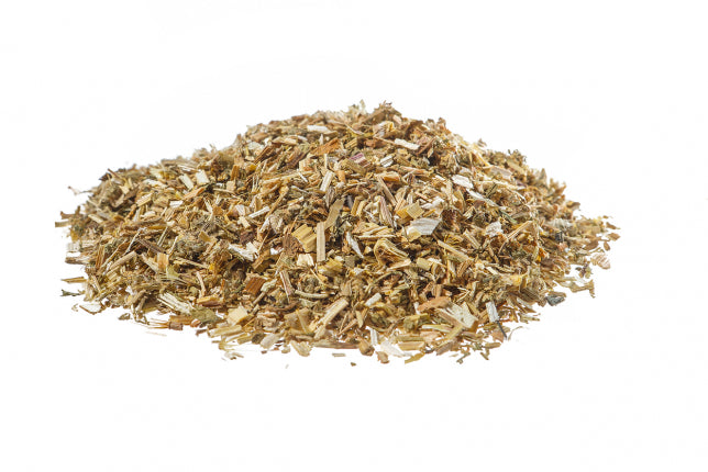 Cardo santo - Cardo benedetto, sommità (Cnicus benedictus L.)