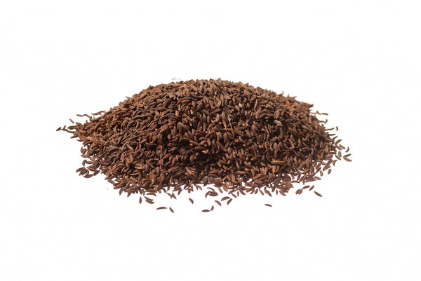 Carvi, semi (Carum carvi L.)