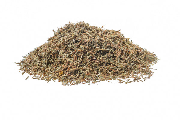 Centinodia-Correggiola, sommità (Polygonum aviculare L.)