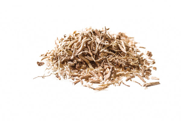 Cicoria, radice (Cichorium intybus L.)