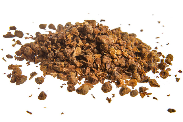 Cipresso, bacche (Cupressus sempervirens L.)