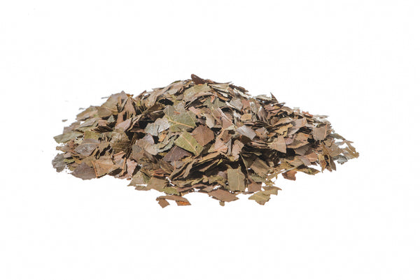 Combretum - Combreto, foglie (Combretum micranthum G. Don)