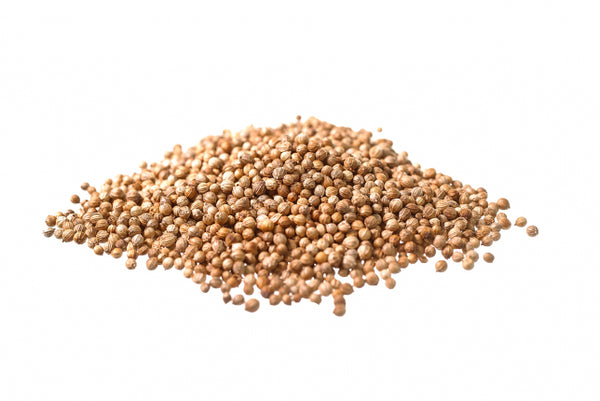 Coriandolo, frutti (Coriandrum sativum L.)