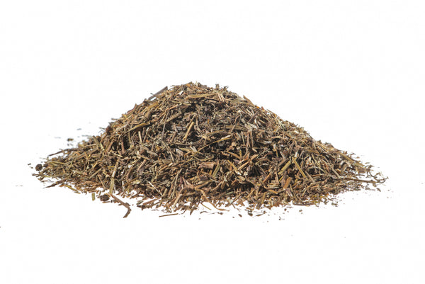 Crisantello - Crisantemo americano, erba (Chrysantellum americanum Vatke)