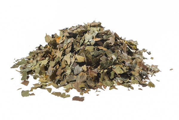 Edera, foglie (Hedera helix L. - Hedera arborea Garsault)