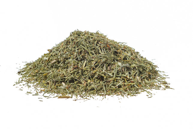 Equiseto - Coda cavallina, pianta (Equisetum arvense L.)