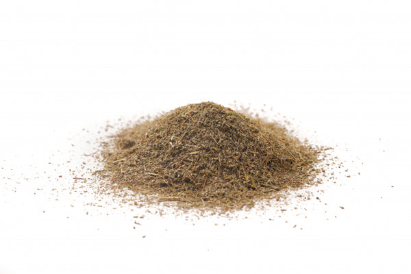 Fillanto - Fillantus, erba (Phyllantus niruri L.)