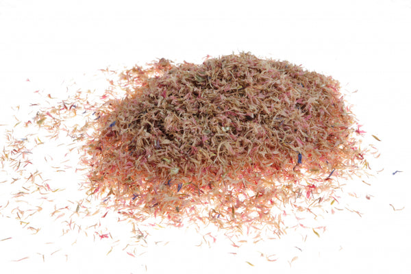 Fiordaliso, petali rosa (Centaurea cyanus L.)