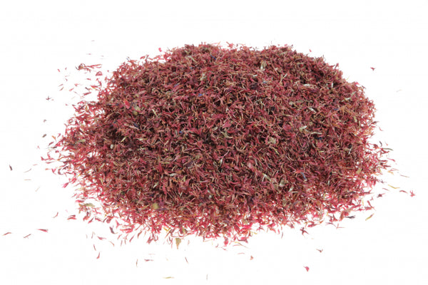 Fiordaliso, petali rossi (Centaurea cyanus L.)