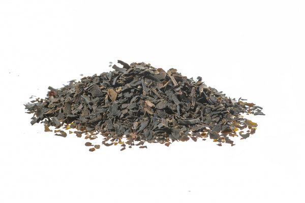 Fucus - Quercia Marina, tallo (Fucus vesiculosus L.)