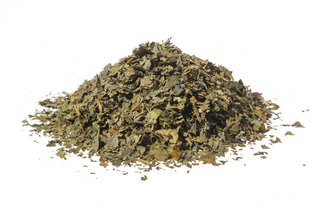 Gelso nero, foglie (Morus nigra L.)