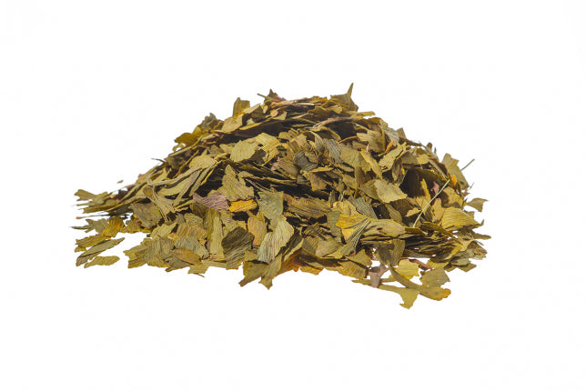 Ginkgo biloba, foglie (Ginkgo biloba L.)