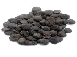 Griffonia, semi (Griffonia simplicifolia - DC - Baill.)