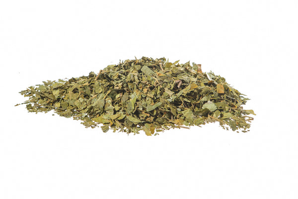 Gymnema silvestre, foglie (Gymnema sylvestre R.Br.)