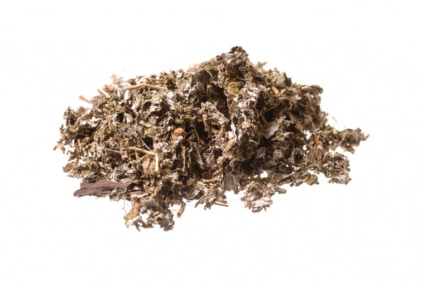 Lampone, foglie (Rubus idaeus L.)