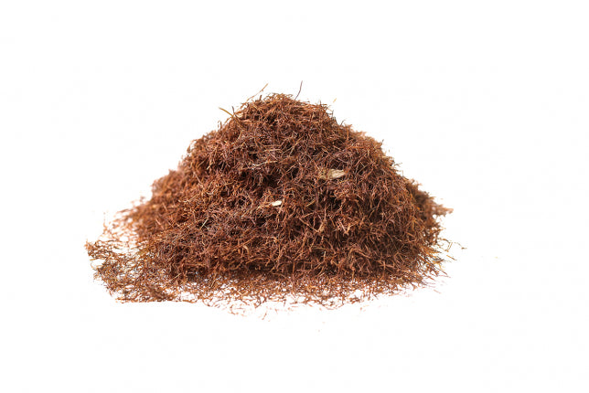 Mais, stigmi (Zea mays L.)