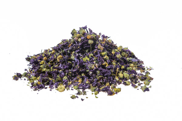 Malva, fiori blu (Malva sylvestris L. ssp Mauritania)