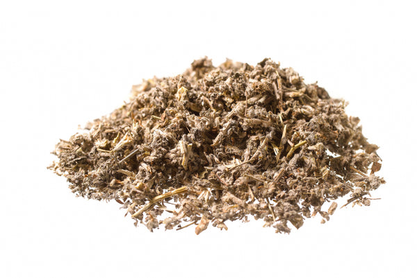 Marrubio acquatico - Marrubio d'acqua, erba (Lycopus europaeus L.)