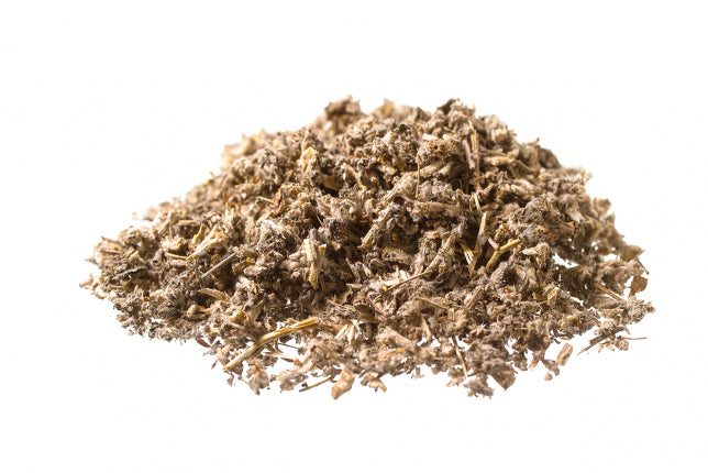 Marrubio acquatico - Marrubio d'acqua, erba (Lycopus europaeus L.)