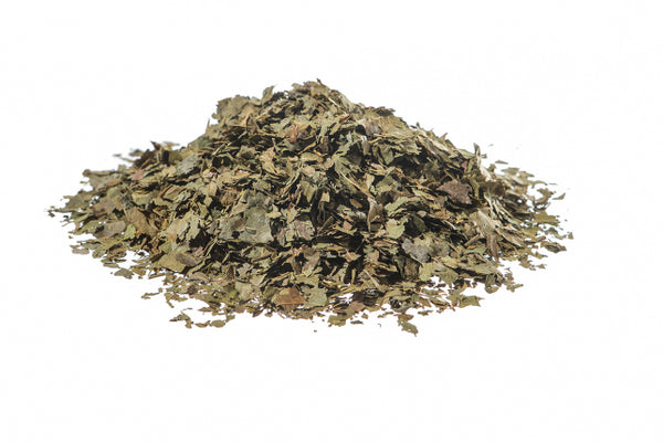 Noce, foglie (Juglans regia L.)