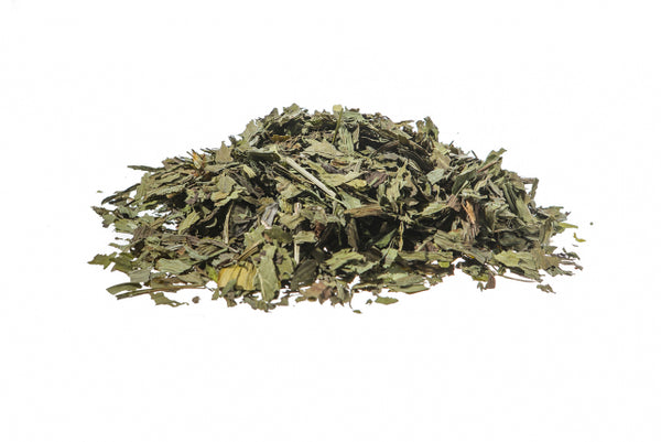 Piantaggine, foglie (Plantago lanceolata L. o major L.)