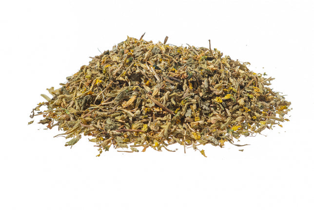 Primula, fiori (Primula officinalis Hill.)