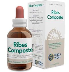 Ribes composto, Forza Vitale