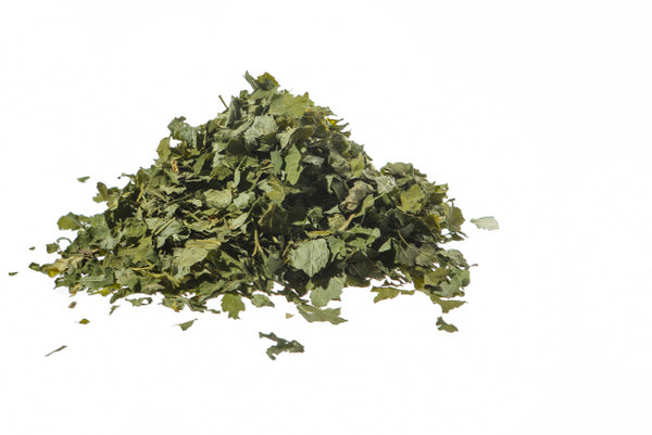 Sambuco, foglie (Sambucus nigra L.)