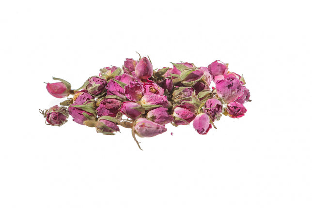 Rosa, boccioli rosa (Rosa centifolia L.) - Rosa rosa