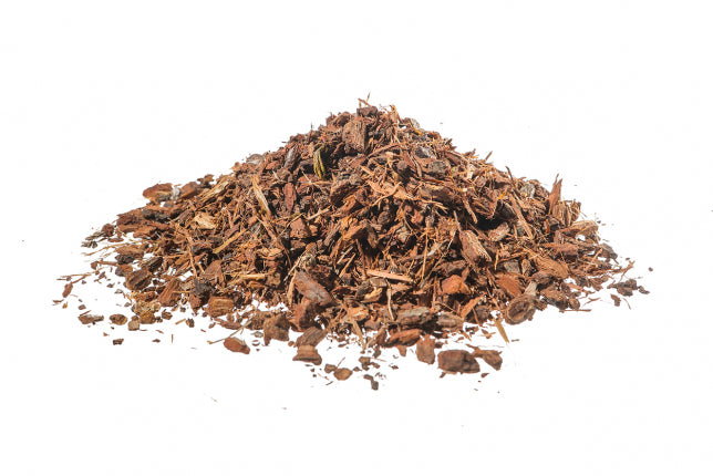 Rovere o Quercia, corteccia (Quercus petraea Liebl.)