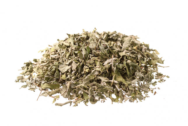 Salvia officinale, foglie (Salvia officinalis L.)