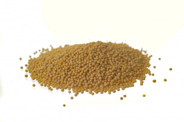 Senape gialla, semi o polvere (Brassica alba -L.- Boiss)