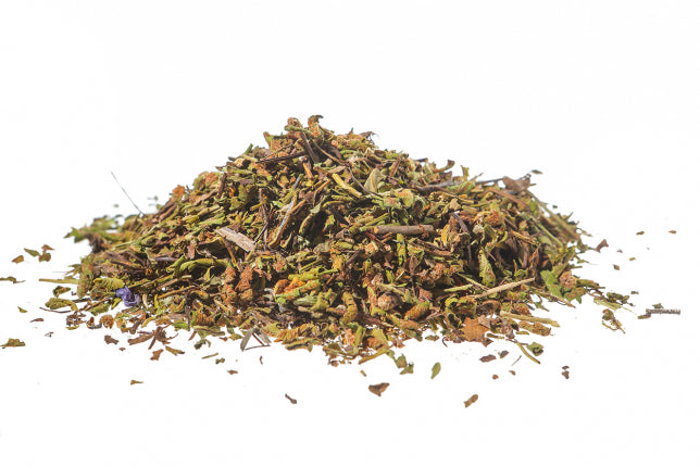 Spaccapietra, foglie (Ceterach officinarum D.C.)