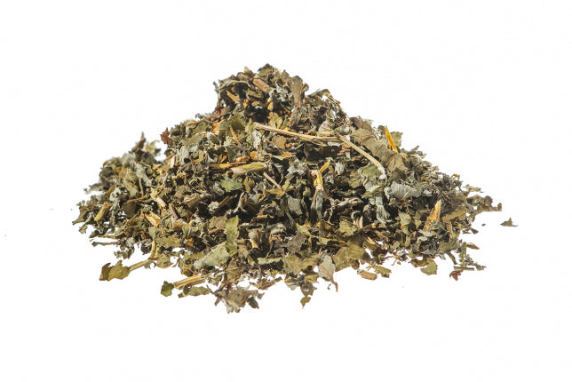 Spirea ulmaria o Regina dei prati, sommità (Filipendula ulmaria Max.)