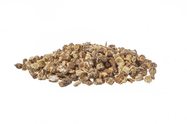 Tarassaco, radici - Tarassaco, foglie (Taraxacum officinale -D. C.- Web.)