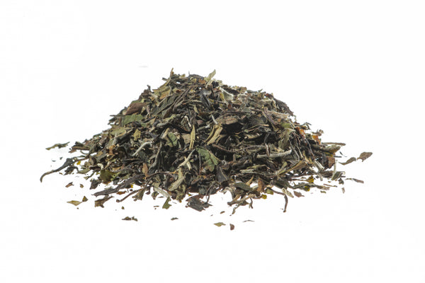 Tè bianco Pai Mu Than, foglie (Camelia thea Link.)