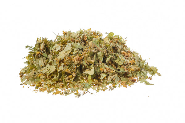 Tiglio, fiori e bractee (Tilia platyphyllos Scop.)