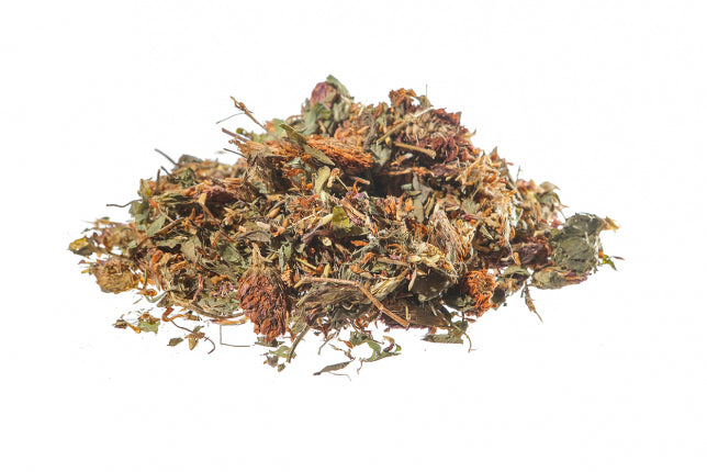 Trifoglio rosso, fiori (Trifolium pratense L.)