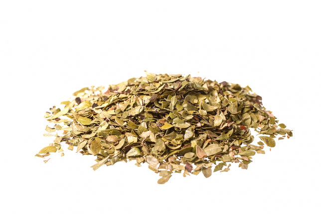 Uva ursina, foglie (Arctostaphylos pungens H.B.K.)